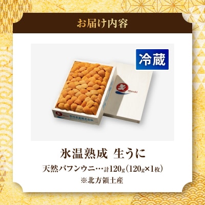 ≪氷温熟成≫生折うに(天然バフンウニ)　120g×1枚_H0009-101