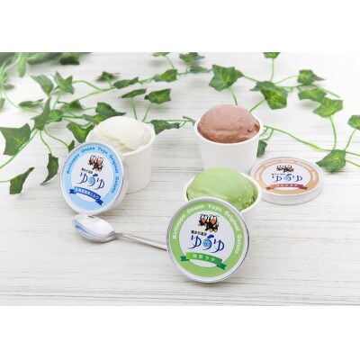 ≪値上げ予定≫北海道浜中町産ミルク使用、 ゆうゆオリジナルジェラート 1セット _H0033-007