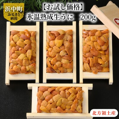 【お試し価格】氷温熟成生うに　200g | ふるさと納税のお礼品