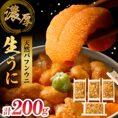 【お試し用】≪氷温熟成≫ 生うに 天然バフンウニ 計200g うに 北海道_H0009-100