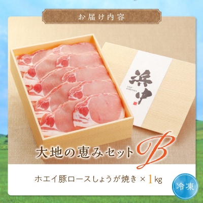 ホエイ豚ローススライス(生姜焼き用)　計1kg_H0010-100