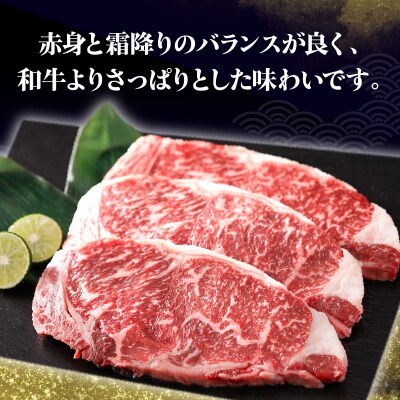 ≪値上げ予定≫北海道浜中黒牛サーロインステーキ3枚(約510g)_190403