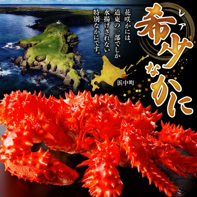 花咲かに2杯セット(1杯550g～650g)_H0001-003