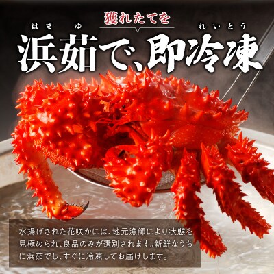 花咲かに2杯セット(1杯450g～500g)_H0001-1181