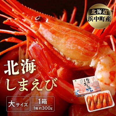 北海しまえび大　1箱(300g13尾前後)_H0001-006