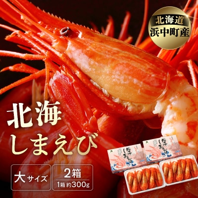 北海しまえび大　2箱セット(1箱300g13尾前後)_H0001-180