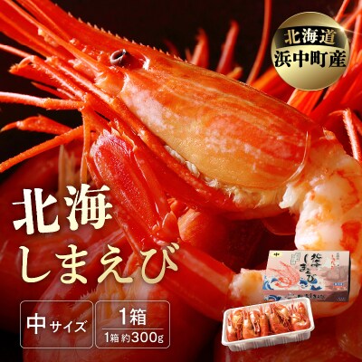 北海しまえび中　1箱(300g17尾前後)_H0001-008