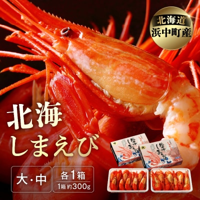 北海しまえび大・中各1箱セット(大:300g13尾前後・中:300g17尾前後)_H0001-010