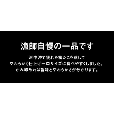 やわらかぶつ切りたこ100g×3パックセット_H0001-158