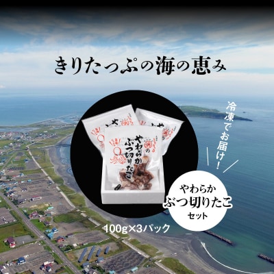 やわらかぶつ切りたこ100g×3パックセット_H0001-158