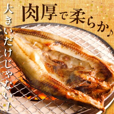 【北海道浜中町産】天日干し真ほっけ開き(大サイズ×3枚)_H0001-127