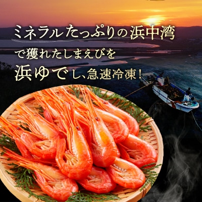 北海しまえび中　2箱セット(1箱300g17尾前後)_H0001-009