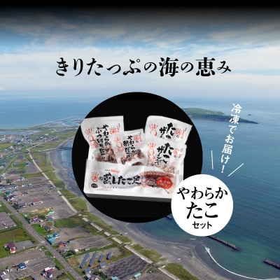 やわらかたこセット_H0001-165