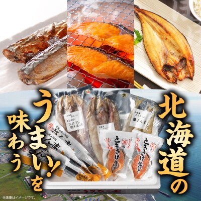 【北海道浜中町産】焼き魚4種セット_H0001-111