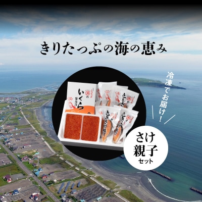いくら醤油漬け(鮭卵)&ときさけ輪切りの親子セット(約1kg)_H0001-036