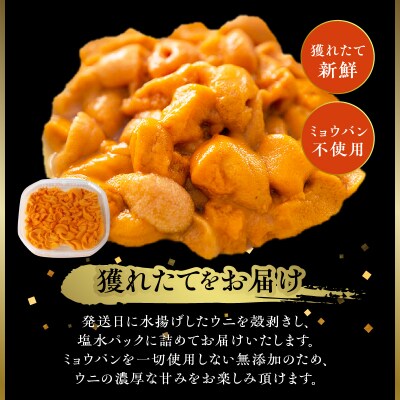 ≪値上げ予定≫無添加「浜中町養殖塩水うに(計50g)」_H0038-001