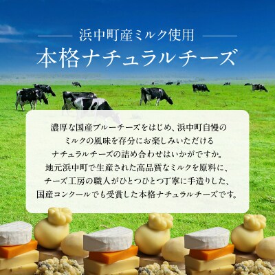 <全6回定期便・連続>厳選ナチュラルチーズ5種詰め合わせセット_H0003-109