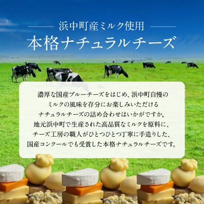 <全6回定期便・連続>厳選ナチュラルチーズ5種詰め合わせセット_H0003-170