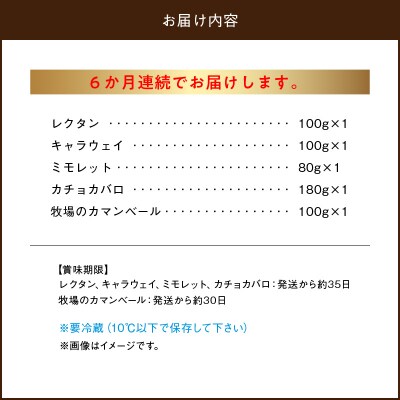 <全6回定期便・連続>厳選ナチュラルチーズ5種詰め合わせセット_H0003-109