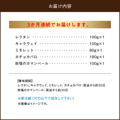<全3回定期便・連続>厳選ナチュラルチーズ5種詰め合わせセット_H0003-169