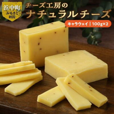 チーズ工房のナチュラルチーズ　キャラウェイ100g×2_H0003-106