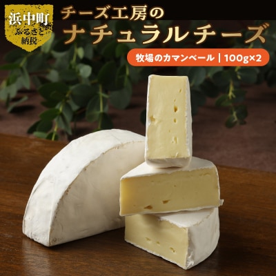 チーズ工房のナチュラルチーズ　牧場のカマンベール100g×2_H0003-145