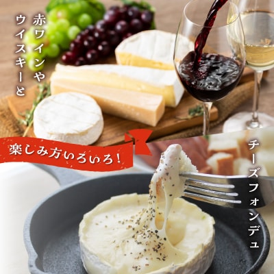 ≪値上げ予定≫チーズ工房のナチュラルチーズ　牧場のカマンベール100g×2_H0003-010