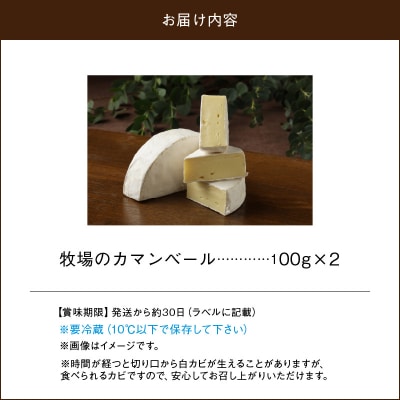 チーズ工房のナチュラルチーズ　牧場のカマンベール100g×2_H0003-103