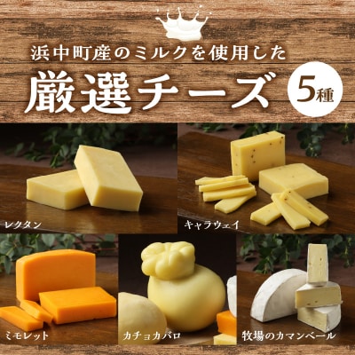 厳選チーズセットとチーズ工房のピザ3種詰め合わせ_H0003-100