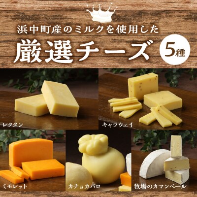 厳選チーズセットとチーズ工房のピザ3種詰め合わせ_H0003-100
