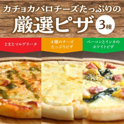 厳選チーズセットとチーズ工房のピザ3種詰め合わせ_H0003-100