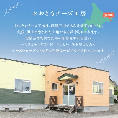 ≪期間限定≫【おおともチーズ工房】チーズ工房のピザ&ヨーグルトソフトクリーム詰め合わせ_010303