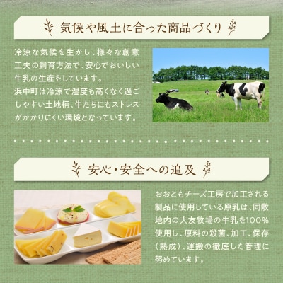 ≪期間限定≫【おおともチーズ工房】チーズ工房のピザ&ヨーグルトソフトクリーム詰め合わせ_010303