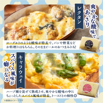 10日以内に発送!!《人気No1》定番の手造りナチュラルチーズ詰め合わせ_H0003-143