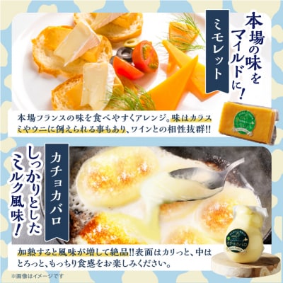 10日以内に発送!!《人気No1》定番の手造りナチュラルチーズ詰め合わせ_H0003-143