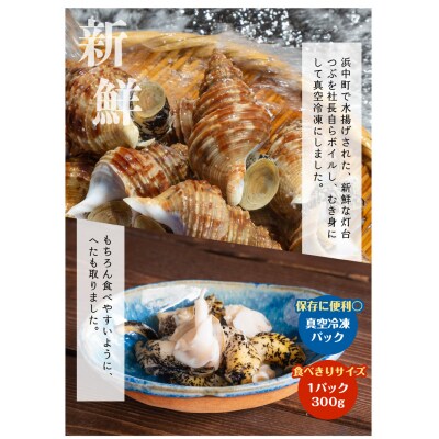 <全3回・連続>灯台つぶ定期便【総重量2.7kg】_H0023-006