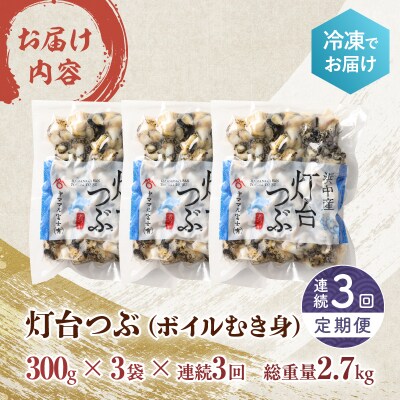 【訳あり】<全3回・連続>灯台つぶ定期便【総重量2.7kg】_H0023-059