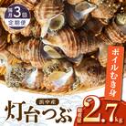 <全3回・隔月>灯台つぶ定期便【総重量2.7kg】_H0023-004