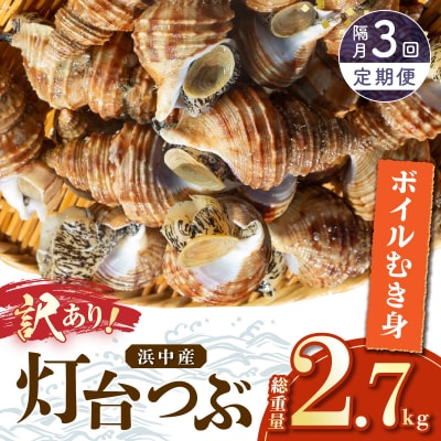 【訳あり】<全3回・隔月>灯台つぶ定期便【総重量2.7kg】_H0023-060