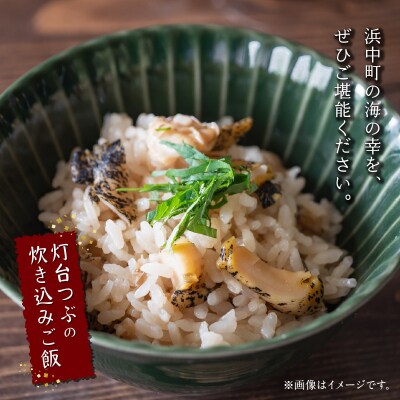 <全3回・隔月>灯台つぶ定期便【総重量2.7kg】_H0023-004