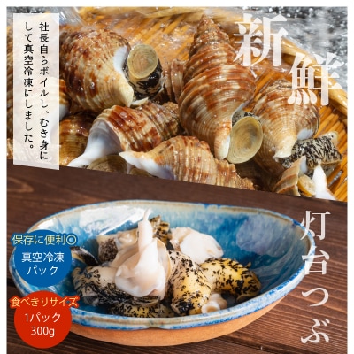 【訳あり】<全3回・隔月>灯台つぶ定期便【総重量2.7kg】_H0023-060