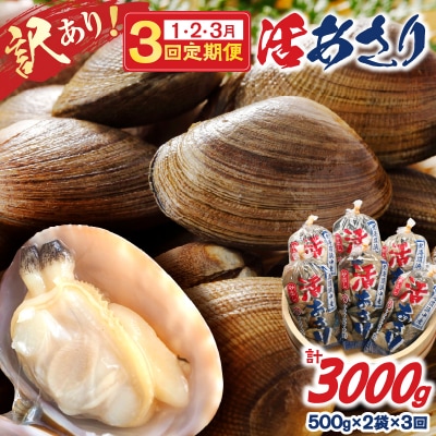 【訳あり】<連続1～3月お届け>浜中町産活あさり定期便　(500g×2袋×3回)_H0023-054