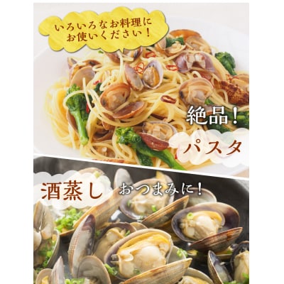 【訳あり】<連続1～3月お届け>浜中町産活あさり定期便　(500g×2袋×3回)_H0023-054
