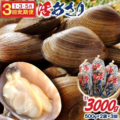 <隔月1月・3月・5月お届け>浜中町産活あさり定期便　(500g×2袋×3回)_H0023-009