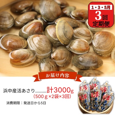 <隔月1月・3月・5月お届け>浜中町産活あさり定期便　(500g×2袋×3回)_H0023-009