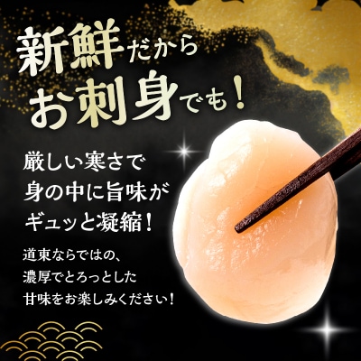 北海道産 ほたて貝柱(大)　計500g_H0001-042