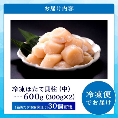 北海道産 ほたて貝柱(中)計600g_H0001-1201