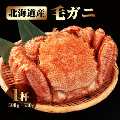 北海道産 毛ガニ1杯(500～530g)_H0001-053