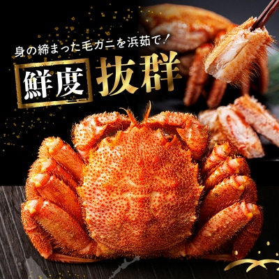北海道産 毛ガニ1杯(500～530g)_H0001-053