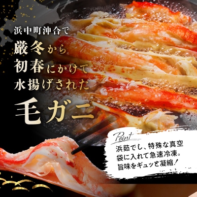 北海道産 毛ガニ1杯(500～530g)_H0001-053